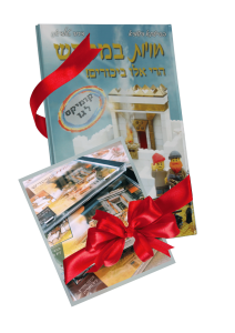 חוויות במקדש- ספר קומיקס לגו + מארז 9 דיסקים "חוויות במקדש"
